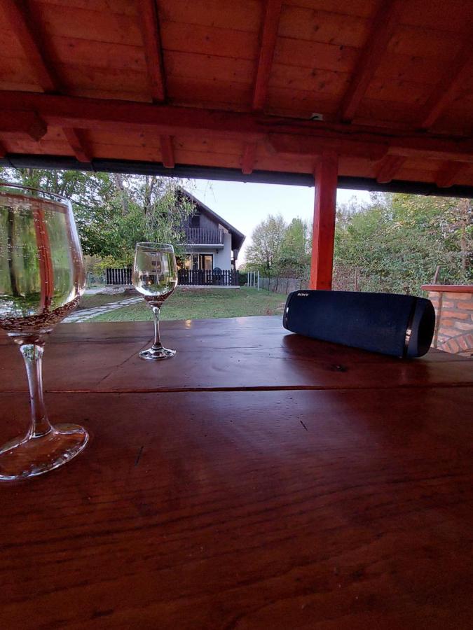 Villa House Kupa Mb Petrinja Esterno foto