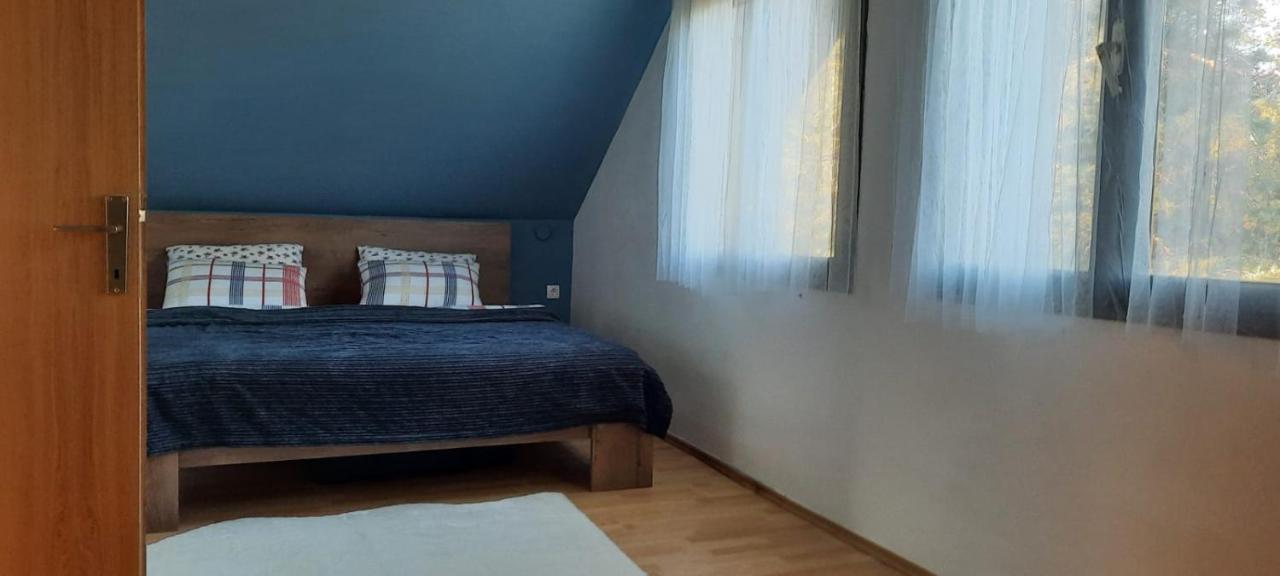 Villa House Kupa Mb Petrinja Esterno foto