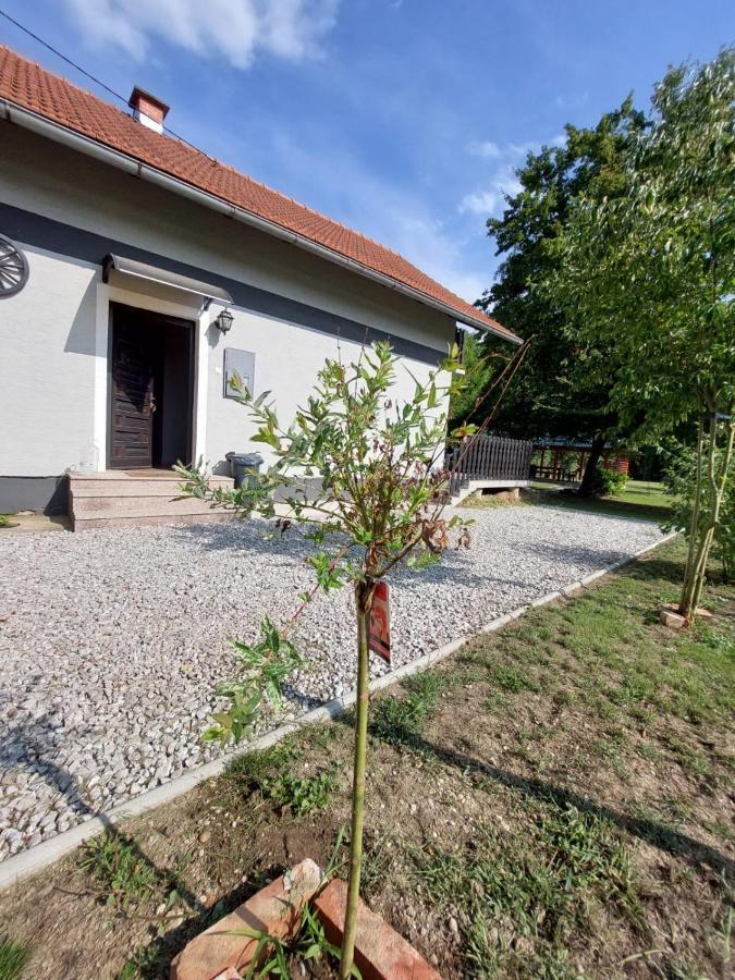 Villa House Kupa Mb Petrinja Esterno foto