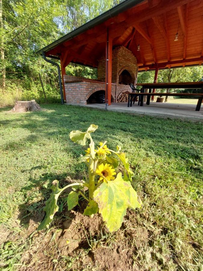 Villa House Kupa Mb Petrinja Esterno foto