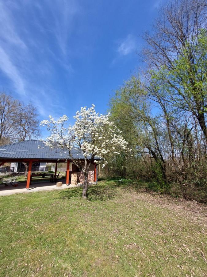 Villa House Kupa Mb Petrinja Esterno foto