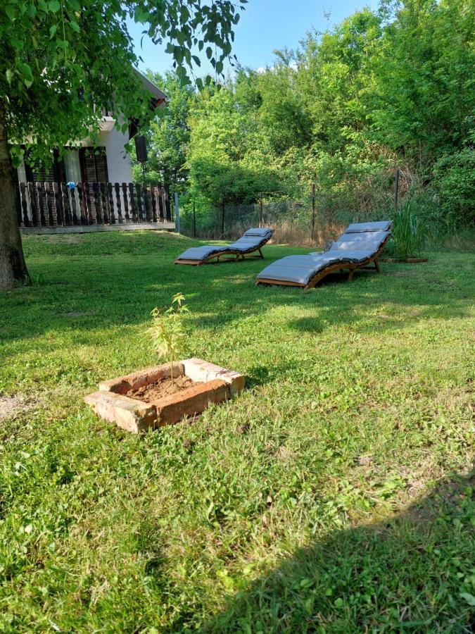 Villa House Kupa Mb Petrinja Esterno foto